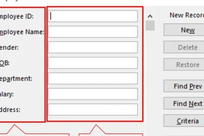 Data Entry Form in Excel Without VBA - TheDataLabs